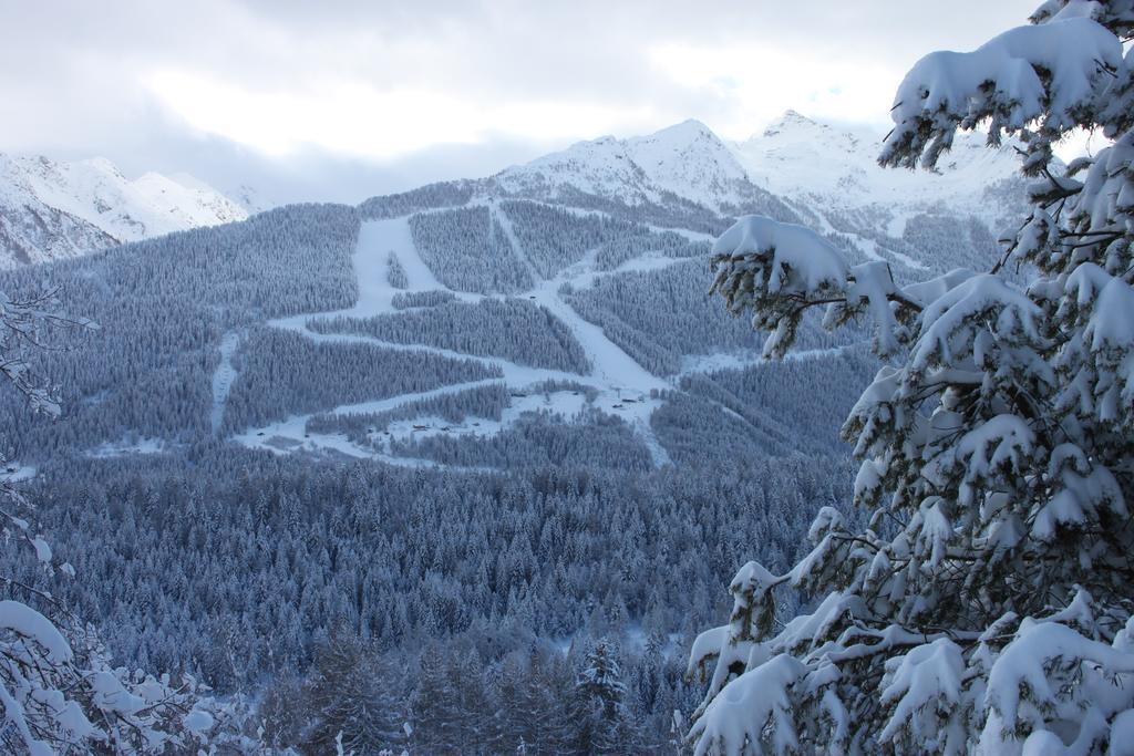 La Madonnina Leilighet Villa di Tirano Eksteriør bilde