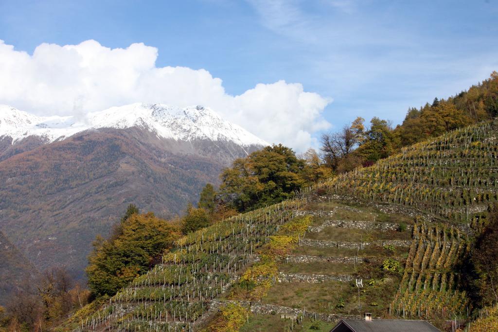 La Madonnina Leilighet Villa di Tirano Rom bilde